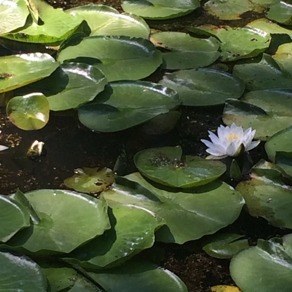 Meet your Posher, Jennifer - Picture 12 of 15